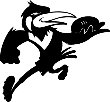 Winner of the 2018 Raffle